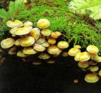 �j�K�N���^�P