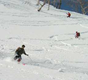 �ؗ�ȁH�V���v�[����`��